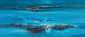 ART-DOG180X803